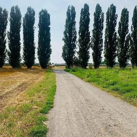 Appartamento Tra Verde E Citta Bologna Exterior foto