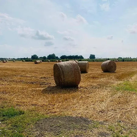 Appartamento Tra Verde E Citta Bologna Exterior foto