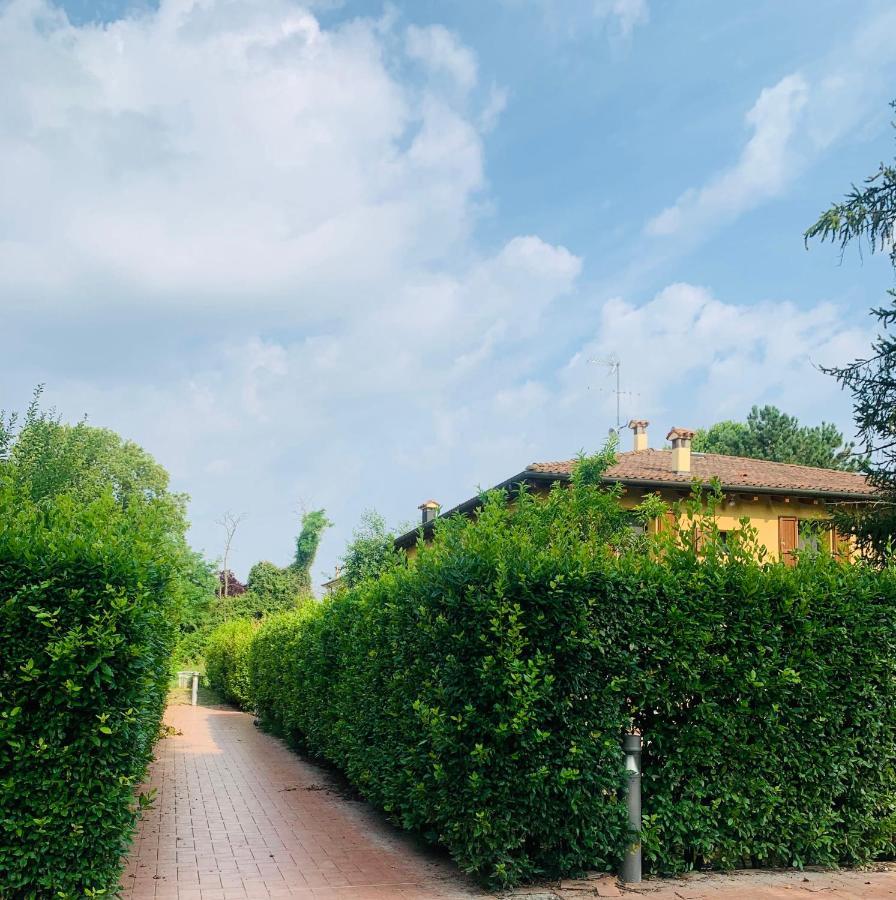 Tra E Citta Bologna