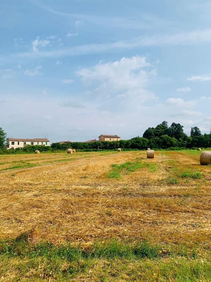 Tra E Citta Apartment Bologna